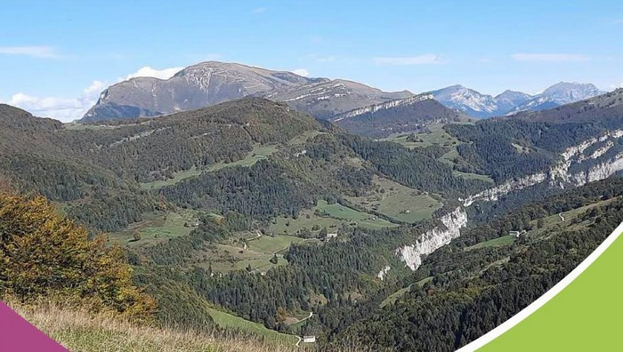 - (Immagine da locandina / particolare)